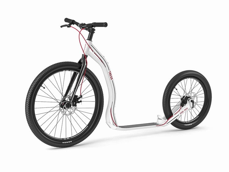 Yedoo Trexx Disc Scooter